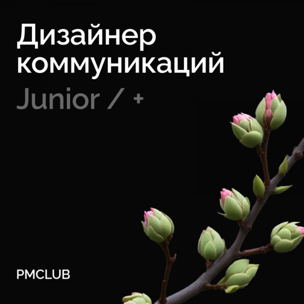 PMCLUB ищет коммуникационного дизайнера (Junior/+)